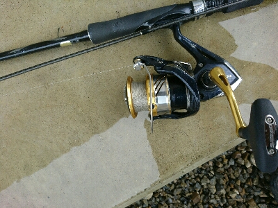 朝マズメ爆釣！！16本カマスゲット！！