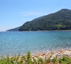 ロックフィッシュゲーム