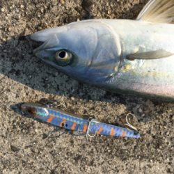 ツバスイマイチ