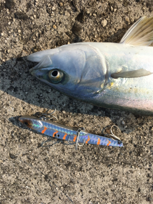 ツバスイマイチ