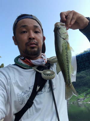 ダウンショット早朝バスget