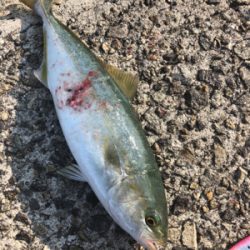 熱中症になりそうなぐらい