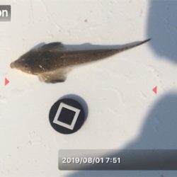 ミニチュア祭り