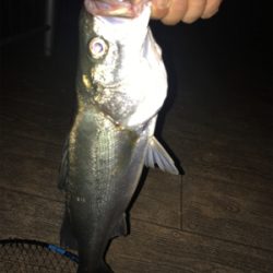 いつもと違う？