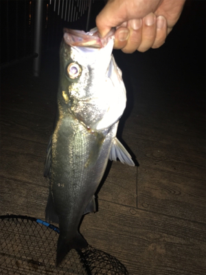 いつもと違う？