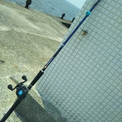 まだまだ修行が足りません