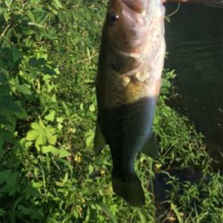 八田原ダムバス釣り