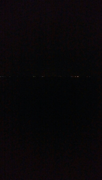 ケンサキイカ4杯！！