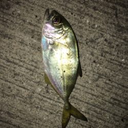 マイクロライトゲーム