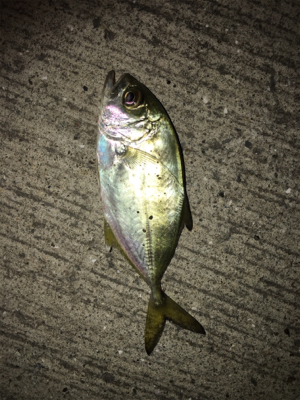 マイクロライトゲーム