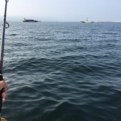 ツバスパーティー