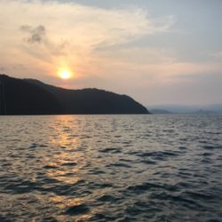 親海公園 豆アジ祭