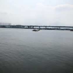 生き餌でなくても…