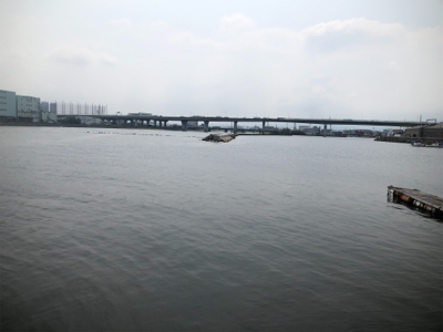 生き餌でなくても…