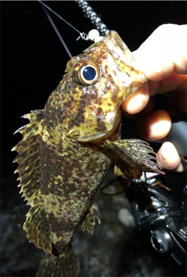 サーフフロートメバリング