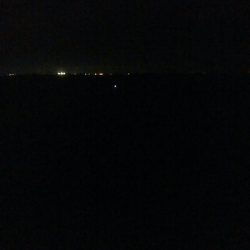 ケンサキイカ2杯！！