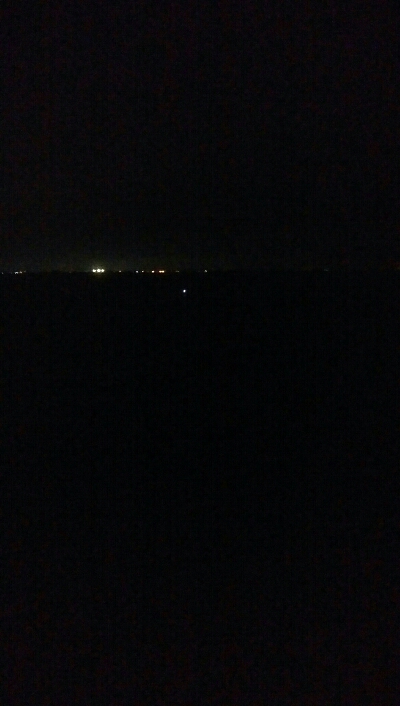 ケンサキイカ2杯！！