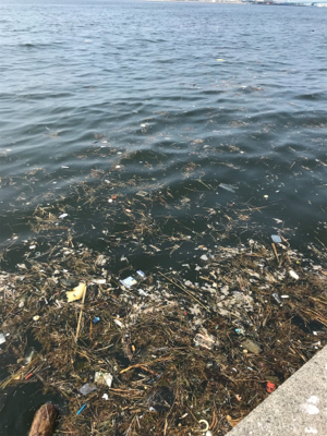 ポーアイ沖堤防