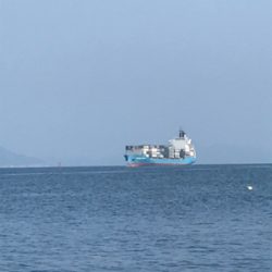 昨日に引き続き