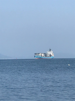 昨日に引き続き