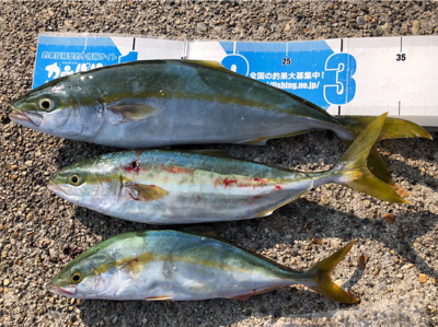 ツバッシング〜