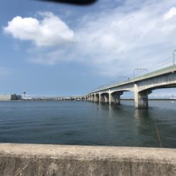 キス釣りたいな