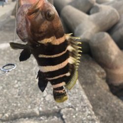 日本海 プチ遠征