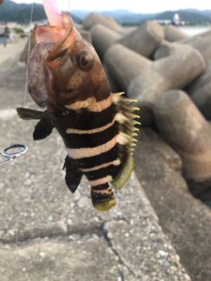 日本海 プチ遠征