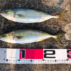 安定のツバス^_^