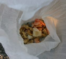 テトラで穴釣り カサゴ一匹バラし、一匹ゲット、サングラス海に落とした