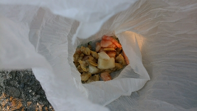 テトラで穴釣り カサゴ一匹バラし、一匹ゲット、サングラス海に落とした