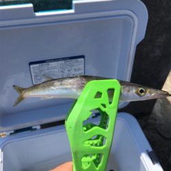 水分補給とゴミ拾い