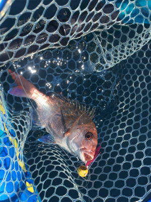 県南でカヤックフィッシング！