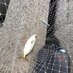 ルアーチェンジ