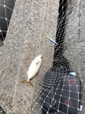 ルアーチェンジ