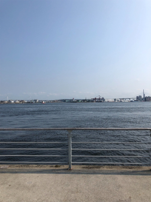 コスモでツバスとタコ