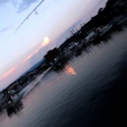 まだまだ小さい