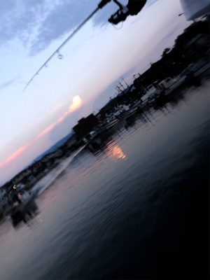 まだまだ小さい