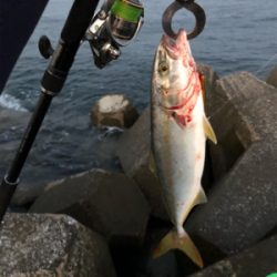 内房ライトショアジギ!