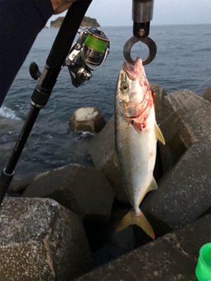 内房ライトショアジギ!