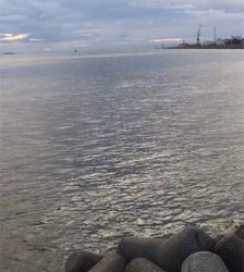 ケンサキイカ少しサイズアップ☆GUNNING-STYLE