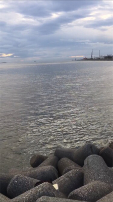 ケンサキイカ少しサイズアップ☆GUNNING-STYLE