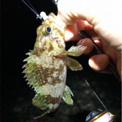 サーフフロートメバリング