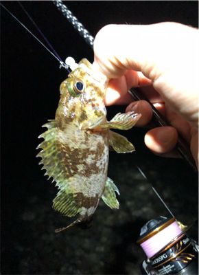 サーフフロートメバリング