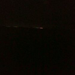 ケンサキイカ5杯！！