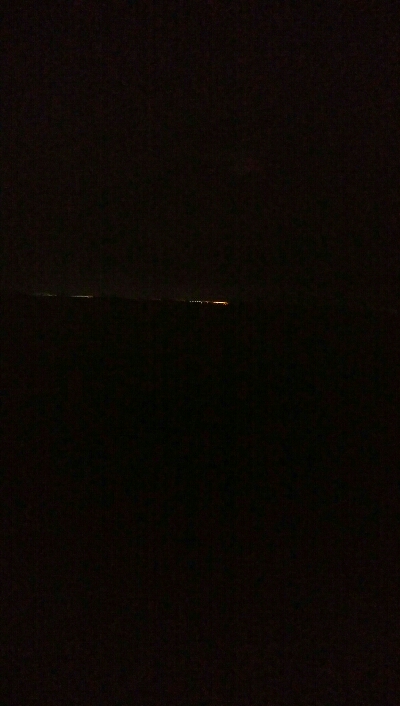 ケンサキイカ5杯！！