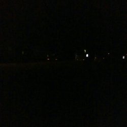 ケンサキイカ3杯！！