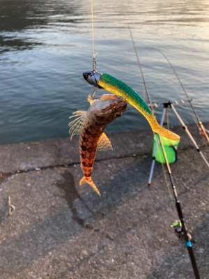 オオモンハタゲーム