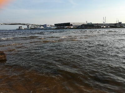 小キビレが爆釣