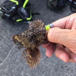 ツバス サワラ そして・・・